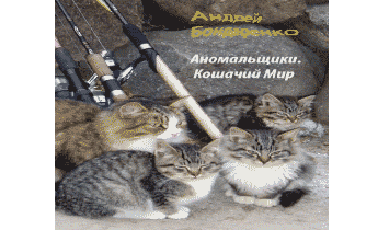 Кошачий Мир