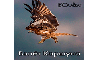 Взлёт Коршуна