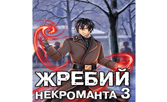 Жребий некроманта 3